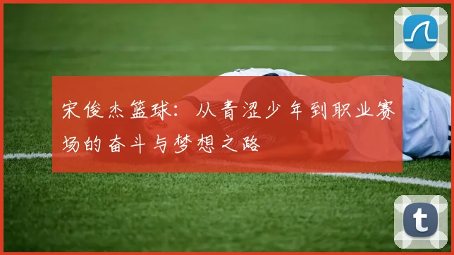 宋俊杰篮球：从青涩少年到职业赛场的奋斗与梦想之路