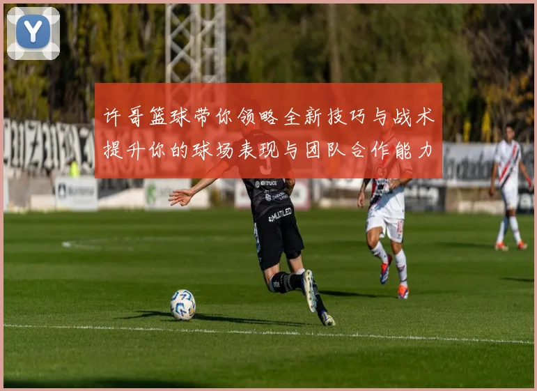 许哥篮球带你领略全新技巧与战术提升你的球场表现与团队合作能力