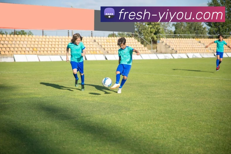 YY体育官网全站App